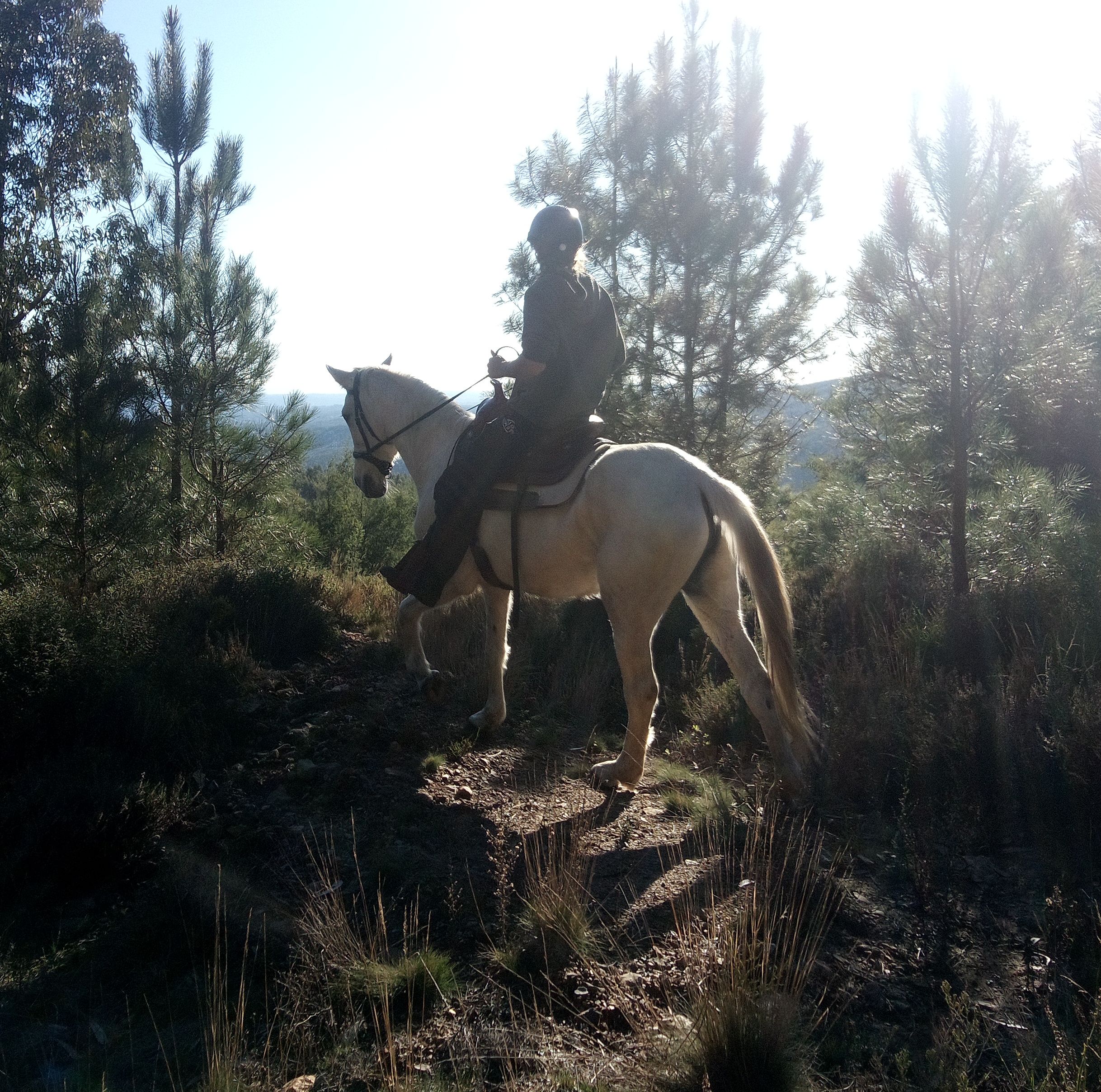 Trekking Trekking