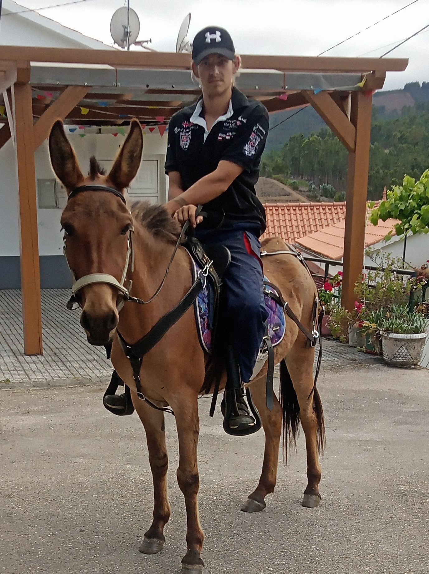 Boo riding