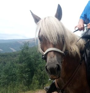 Roma riding